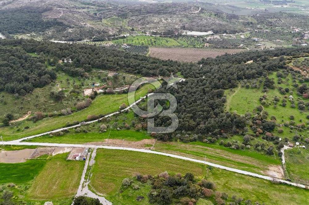 FOÇA YENİKÖY'DE DOĞA İLE İÇ İÇE SATILIK TARLA