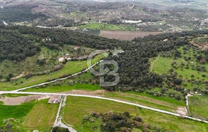 FOÇA YENİKÖY'DE DOĞA İLE İÇ İÇE SATILIK TARLA