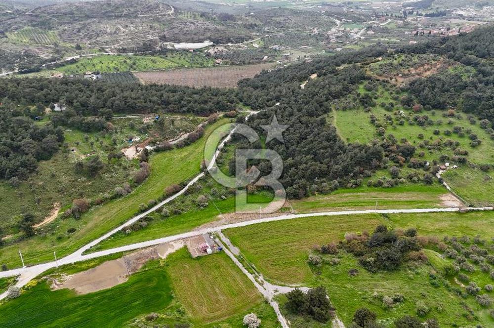 FOÇA YENİKÖY'DE DOĞA İLE İÇ İÇE SATILIK TARLA