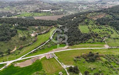 FOÇA YENİKÖY'DE DOĞA İLE İÇ İÇE SATILIK TARLA