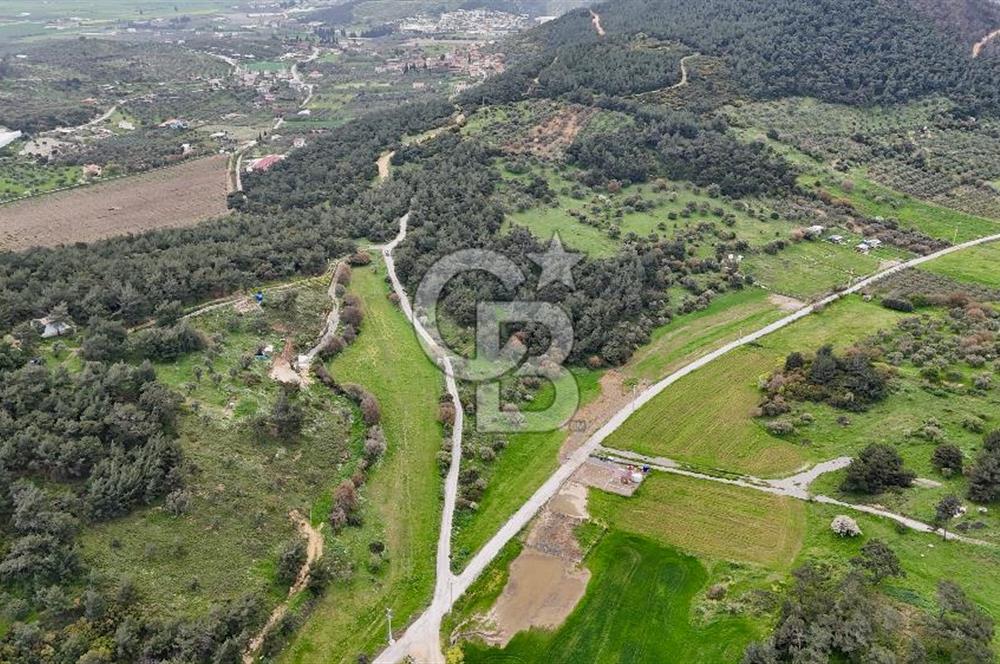 FOÇA YENİKÖY'DE DOĞA İLE İÇ İÇE SATILIK TARLA