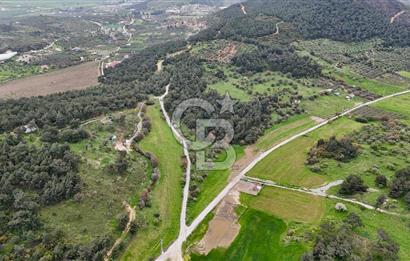 FOÇA YENİKÖY'DE DOĞA İLE İÇ İÇE SATILIK TARLA