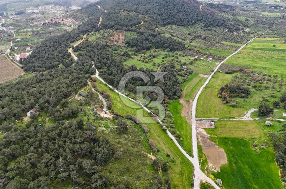 FOÇA YENİKÖY'DE DOĞA İLE İÇ İÇE SATILIK TARLA