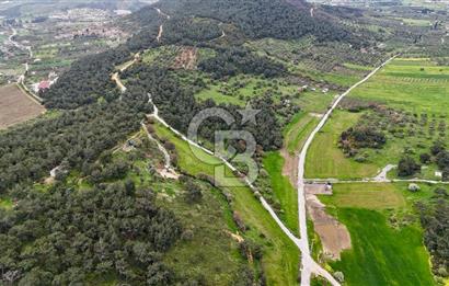 FOÇA YENİKÖY'DE DOĞA İLE İÇ İÇE SATILIK TARLA