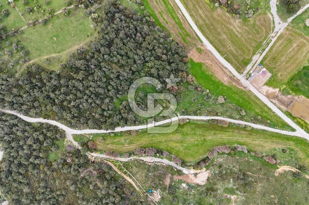 FOÇA YENİKÖY'DE DOĞA İLE İÇ İÇE SATILIK TARLA