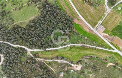 FOÇA YENİKÖY'DE DOĞA İLE İÇ İÇE SATILIK TARLA