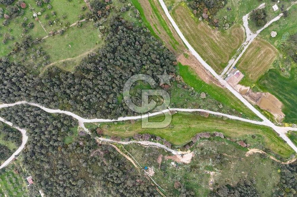 FOÇA YENİKÖY'DE DOĞA İLE İÇ İÇE SATILIK TARLA