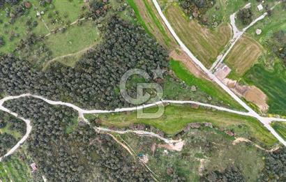 FOÇA YENİKÖY'DE DOĞA İLE İÇ İÇE SATILIK TARLA