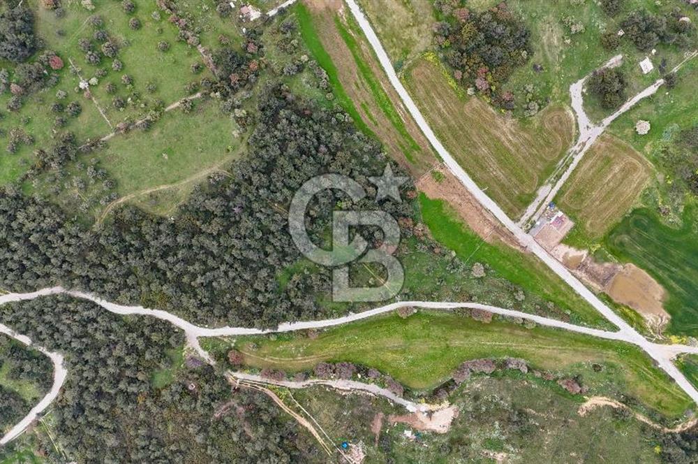 FOÇA YENİKÖY'DE DOĞA İLE İÇ İÇE SATILIK TARLA