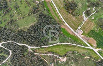 FOÇA YENİKÖY'DE DOĞA İLE İÇ İÇE SATILIK TARLA