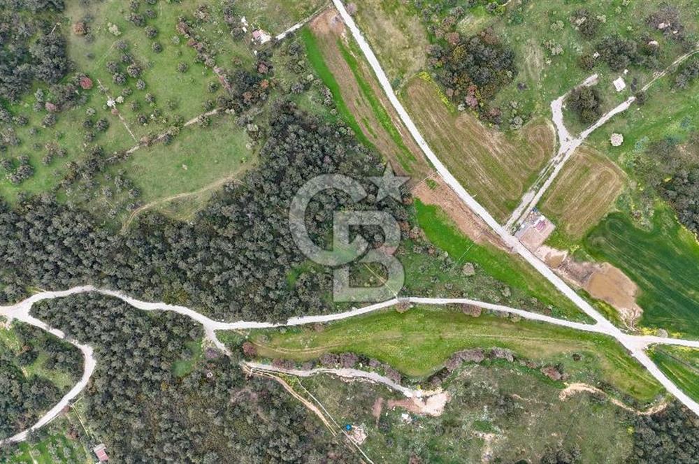 FOÇA YENİKÖY'DE DOĞA İLE İÇ İÇE SATILIK TARLA