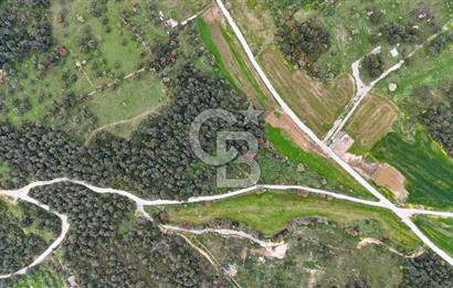 FOÇA YENİKÖY'DE DOĞA İLE İÇ İÇE SATILIK TARLA