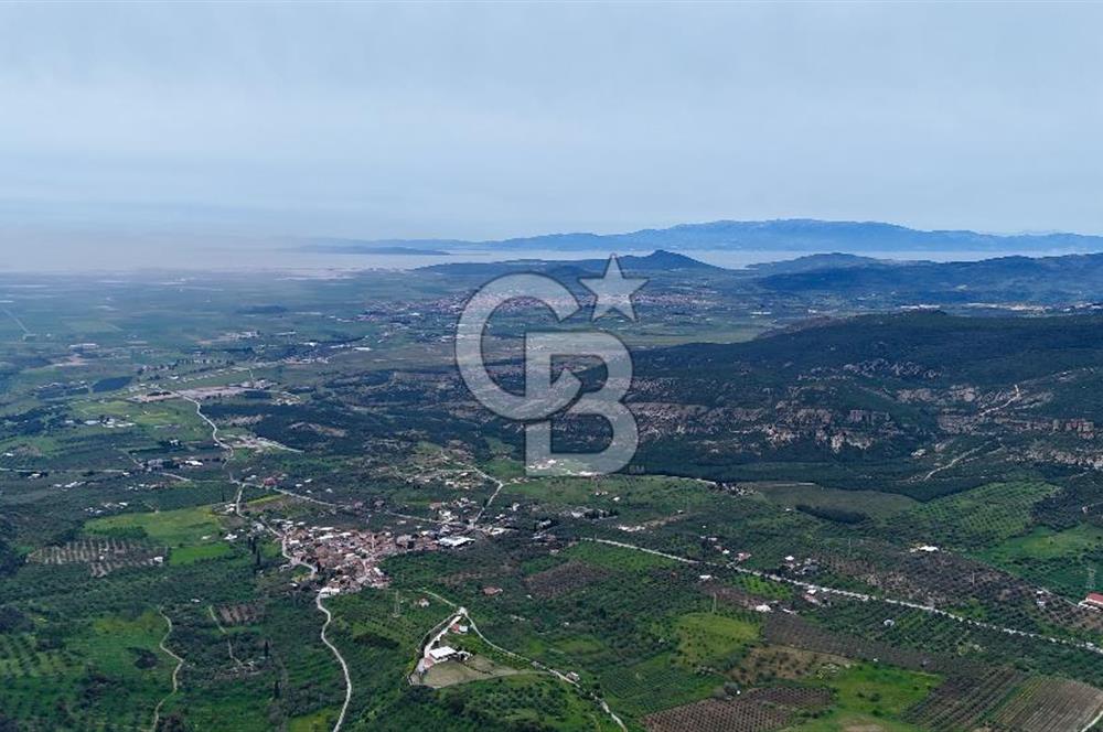 FOÇA YENİKÖY'DE DOĞA İLE İÇ İÇE SATILIK TARLA