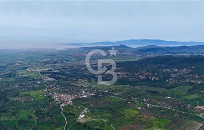 FOÇA YENİKÖY'DE DOĞA İLE İÇ İÇE SATILIK TARLA