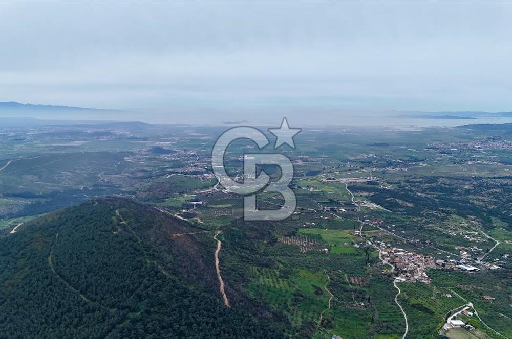 FOÇA YENİKÖY'DE DOĞA İLE İÇ İÇE SATILIK TARLA