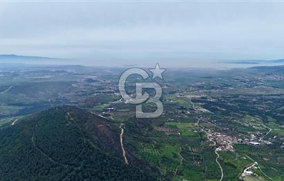 FOÇA YENİKÖY'DE DOĞA İLE İÇ İÇE SATILIK TARLA