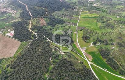 FOÇA YENİKÖY'DE DOĞA İLE İÇ İÇE SATILIK TARLA