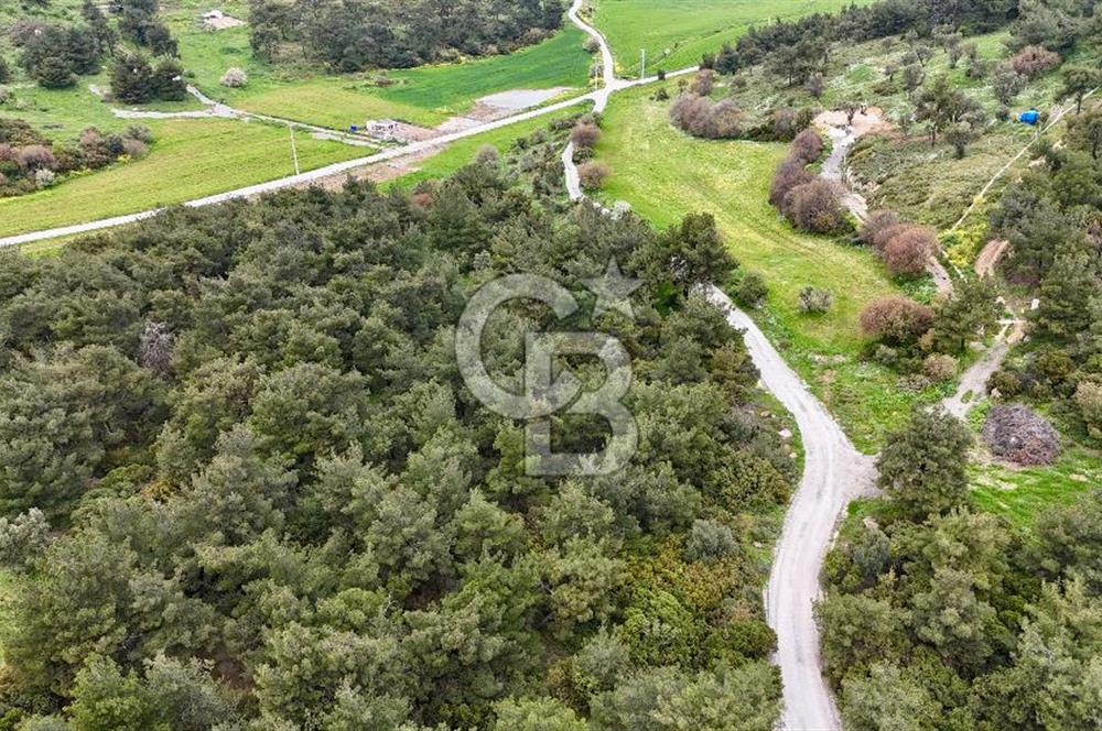 FOÇA YENİKÖY'DE DOĞA İLE İÇ İÇE SATILIK TARLA