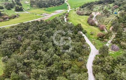 FOÇA YENİKÖY'DE DOĞA İLE İÇ İÇE SATILIK TARLA