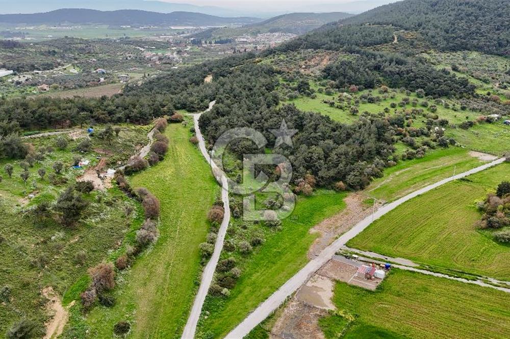FOÇA YENİKÖY'DE DOĞA İLE İÇ İÇE SATILIK TARLA