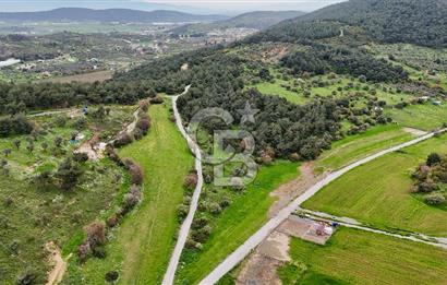 FOÇA YENİKÖY'DE DOĞA İLE İÇ İÇE SATILIK TARLA