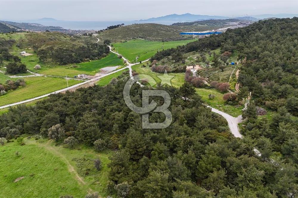 FOÇA YENİKÖY'DE DOĞA İLE İÇ İÇE SATILIK TARLA