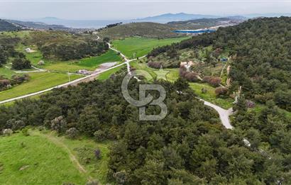 FOÇA YENİKÖY'DE DOĞA İLE İÇ İÇE SATILIK TARLA