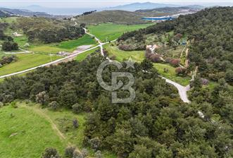 FOÇA YENİKÖY'DE DOĞA İLE İÇ İÇE SATILIK TARLA - 11 - 344315