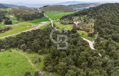 FOÇA YENİKÖY'DE DOĞA İLE İÇ İÇE SATILIK TARLA