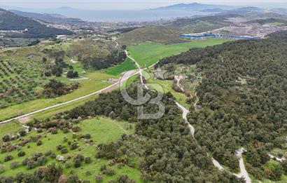 FOÇA YENİKÖY'DE DOĞA İLE İÇ İÇE SATILIK TARLA