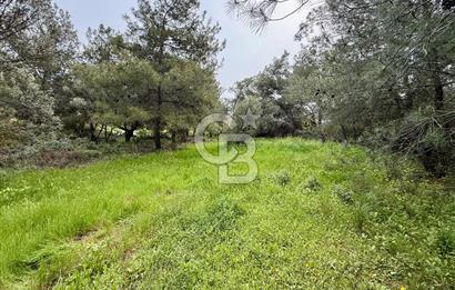 FOÇA YENİKÖY'DE DOĞA İLE İÇ İÇE SATILIK TARLA