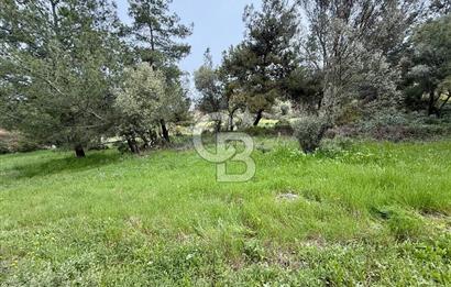 FOÇA YENİKÖY'DE DOĞA İLE İÇ İÇE SATILIK TARLA