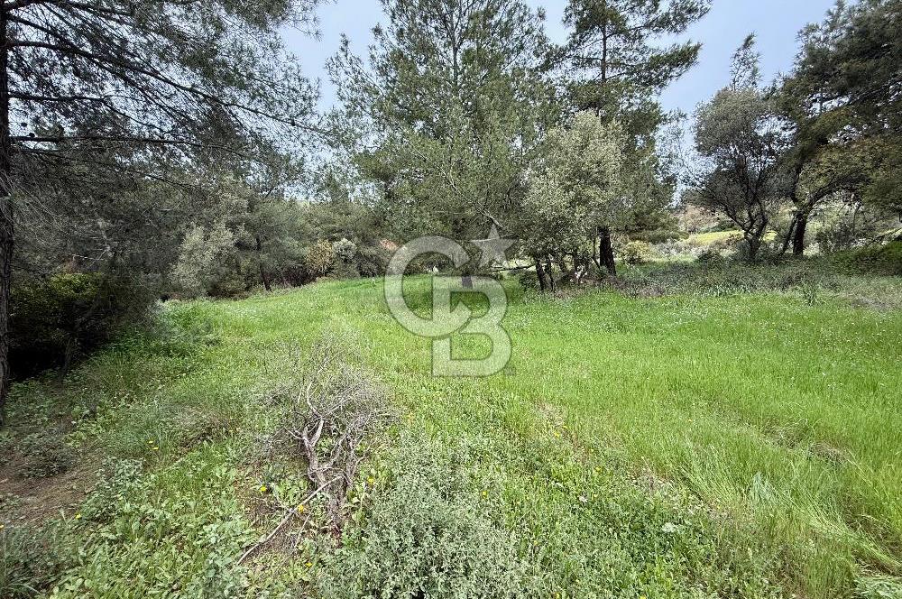 FOÇA YENİKÖY'DE DOĞA İLE İÇ İÇE SATILIK TARLA