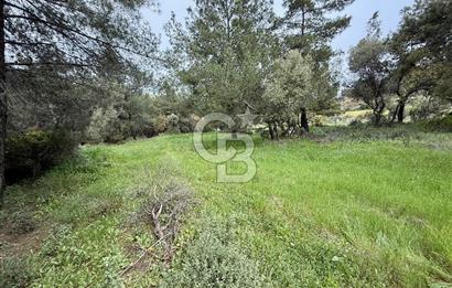 FOÇA YENİKÖY'DE DOĞA İLE İÇ İÇE SATILIK TARLA