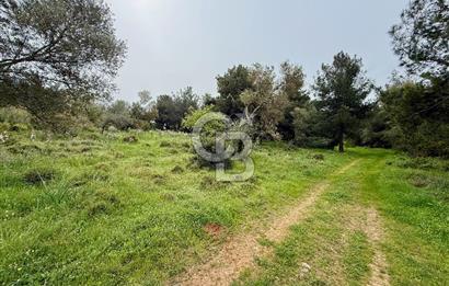 FOÇA YENİKÖY'DE DOĞA İLE İÇ İÇE SATILIK TARLA