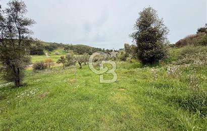 FOÇA YENİKÖY'DE DOĞA İLE İÇ İÇE SATILIK TARLA