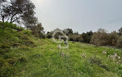 FOÇA YENİKÖY'DE DOĞA İLE İÇ İÇE SATILIK TARLA