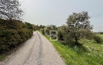 FOÇA YENİKÖY'DE DOĞA İLE İÇ İÇE SATILIK TARLA