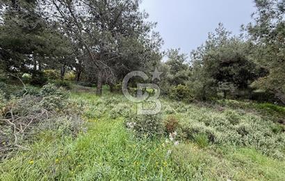 FOÇA YENİKÖY'DE DOĞA İLE İÇ İÇE SATILIK TARLA