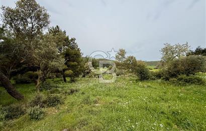 FOÇA YENİKÖY'DE DOĞA İLE İÇ İÇE SATILIK TARLA