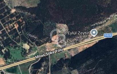 DİDİM AK-YENİKÖY BOZSEKİ MEVKİİNDE İMARLI ARSA