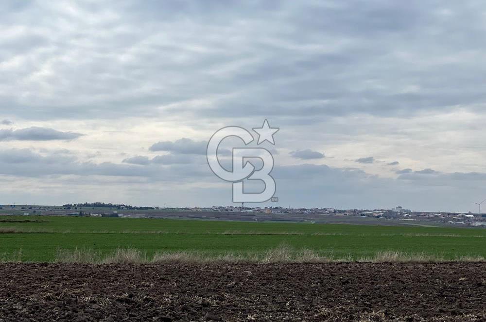 TEKİRDAĞ SARAY BEYAZKÖYDE 1427 M² UYGUN FİYATLI SATILIK TARLA