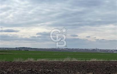 TEKİRDAĞ SARAY BEYAZKÖYDE 1427 M² UYGUN FİYATLI SATILIK TARLA