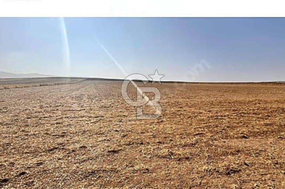 IPARD VE KKDYP PROJESİNE UYGUN İNŞAAT RUHSATLI SATILIK TARLA