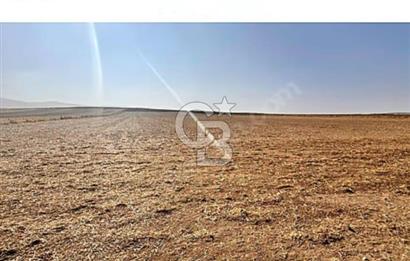 IPARD VE KKDYP PROJESİNE UYGUN İNŞAAT RUHSATLI SATILIK TARLA