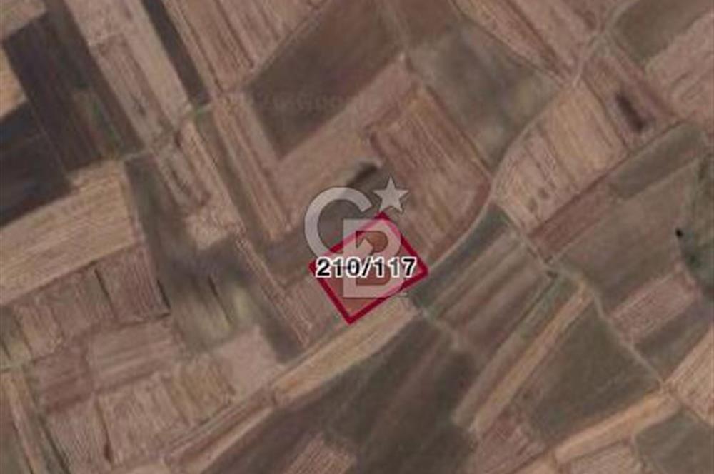 TEKİRDAĞ SARAY BEYAZKÖYDE 1427 M² UYGUN FİYATLI SATILIK TARLA