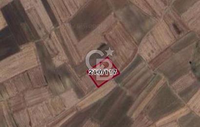 TEKİRDAĞ SARAY BEYAZKÖYDE 1427 M² UYGUN FİYATLI SATILIK TARLA