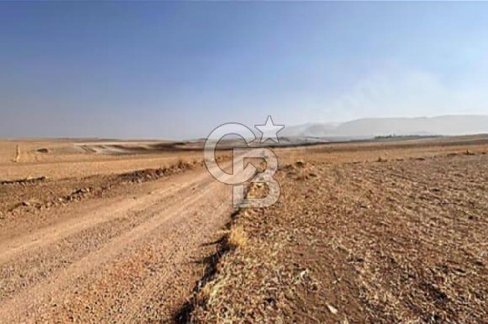 IPARD VE KKDYP PROJESİNE UYGUN İNŞAAT RUHSATLI SATILIK TARLA