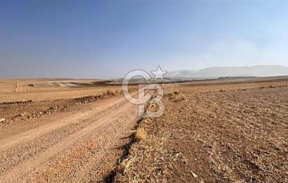 IPARD VE KKDYP PROJESİNE UYGUN İNŞAAT RUHSATLI SATILIK TARLA