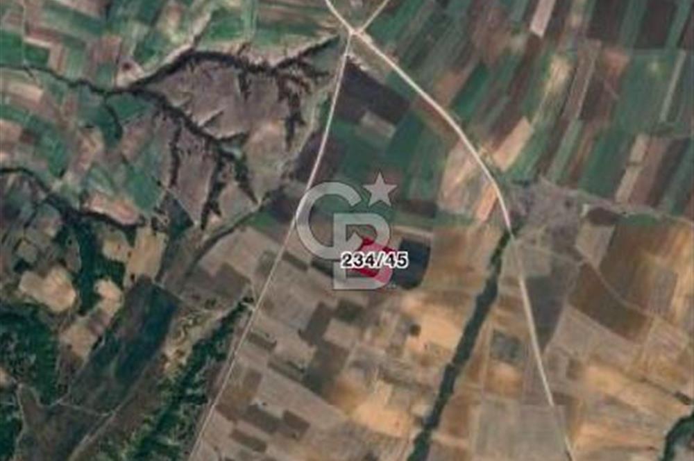 KIRIKLARELİ BABAESKİ SATILIK 850 M2 TARLA